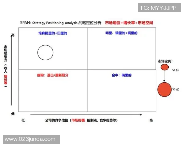 南京篮球队在杯赛中的团队协作表现分析与启示
